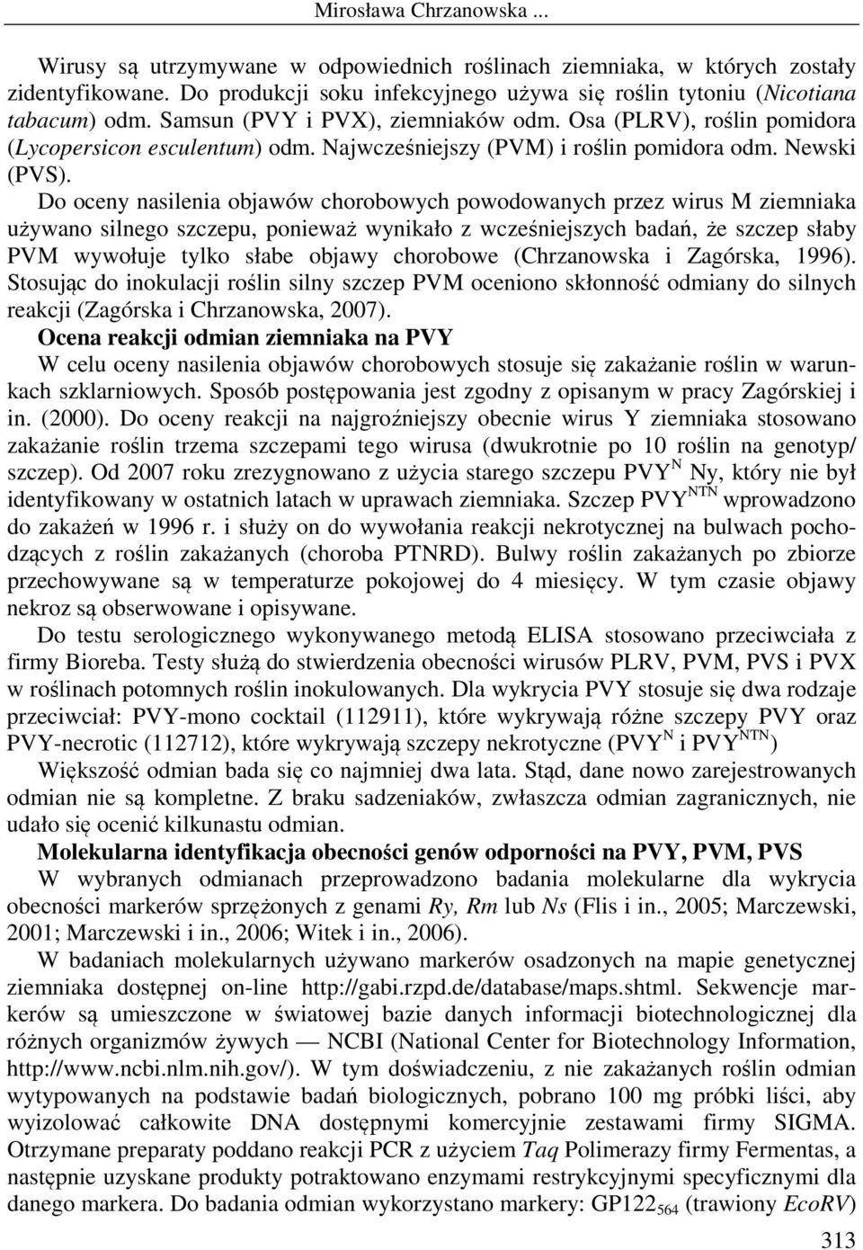 Do oceny nasilenia objawów chorobowych powodowanych przez wirus M ziemniaka używano silnego szczepu, ponieważ wynikało z wcześniejszych badań, że szczep słaby PVM wywołuje tylko słabe objawy