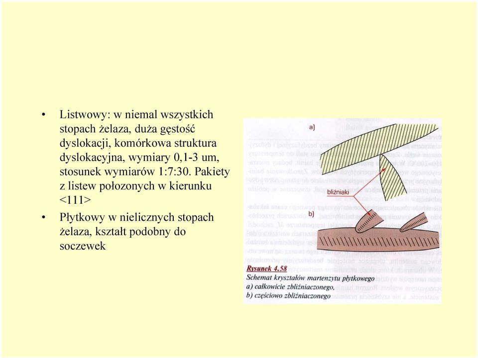 stosunek wymiarów 1:7:30.