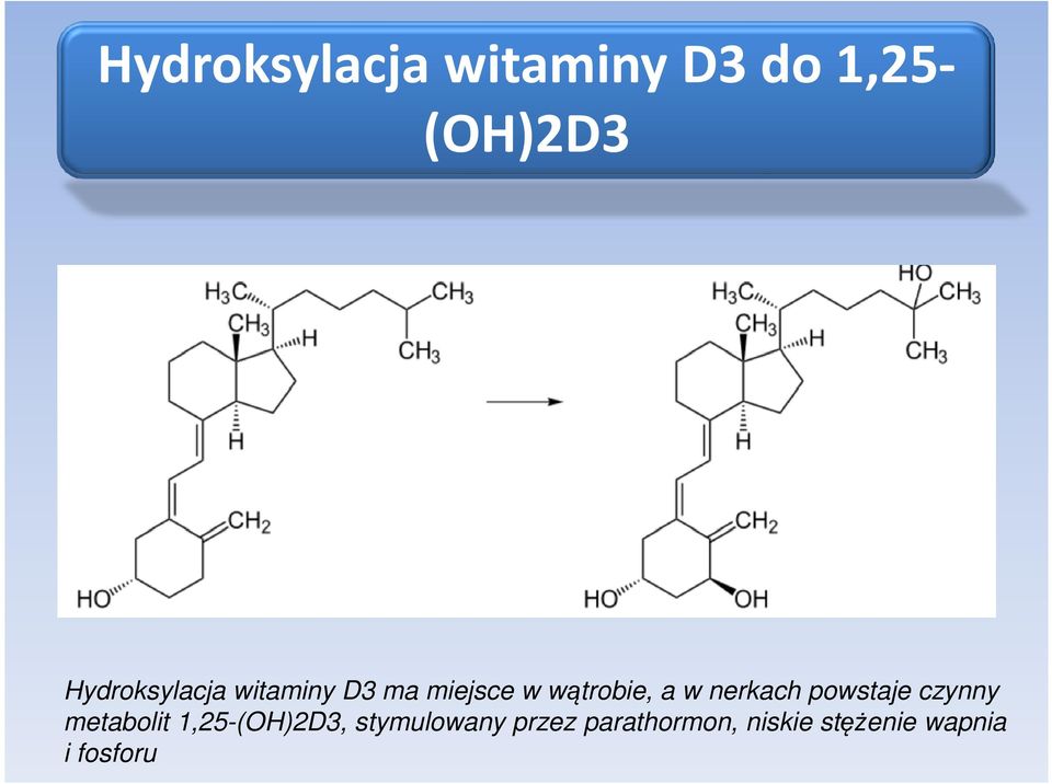 w nerkach powstaje czynny metabolit 1,25-(OH)2D3,