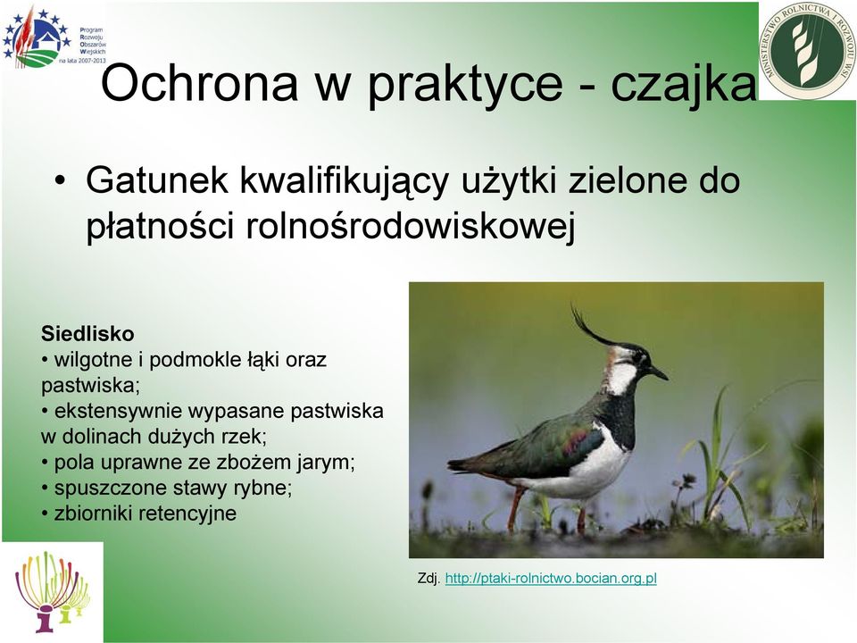 ekstensywnie wypasane pastwiska w dolinach dużych rzek; pola uprawne ze zbożem