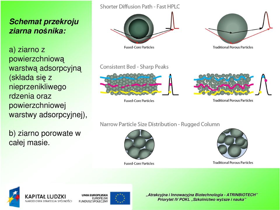 nieprzenikliwego rdzenia oraz powierzchniowej