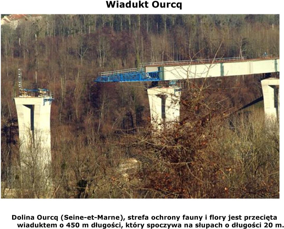 i flory jest przecięta wiaduktem o 450