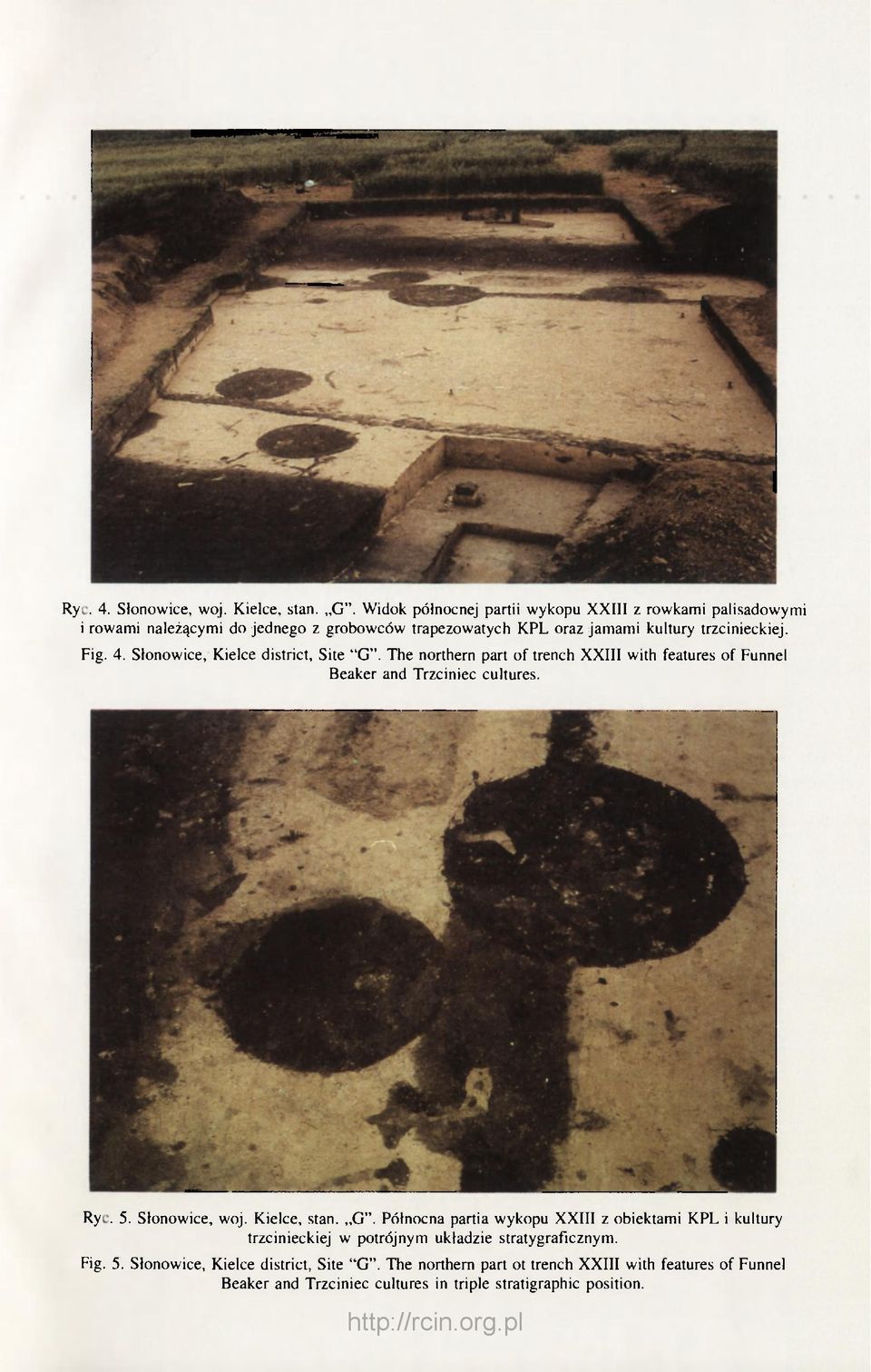 Słonowice, Kielce district, Site "G". The northern part of trench XXIII with features of Funnel Beaker and Trzciniec cultures. Ryc. 5. Słonowice, woj.