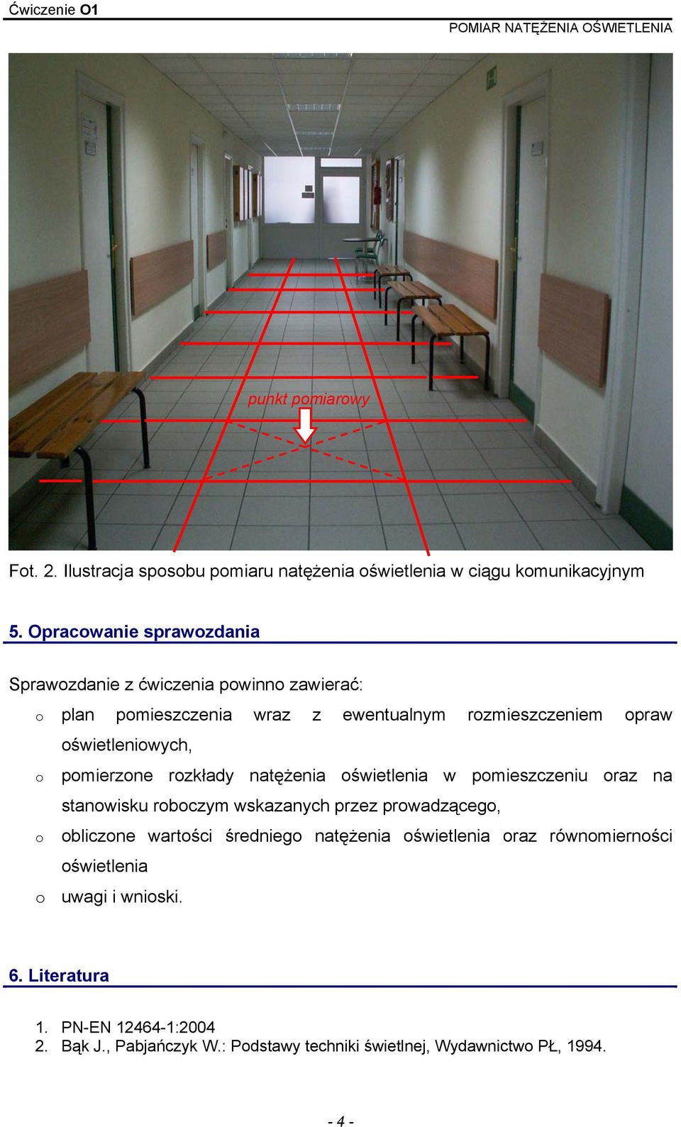 o pomierzone rozkłady natężenia oświetlenia w pomieszczeniu oraz na stanowisku roboczym wskazanych przez prowadzącego, o obliczone wartości