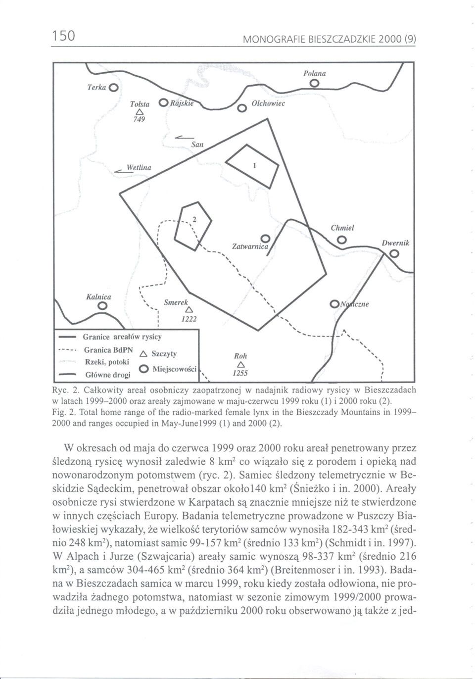 W okresach od maja do czerwca 1999 oraz 2000 roku areal penetrowany przez sledzona rysice wynosil zaledwie 8 km2 co wiazalo sie z porodem i opieka nad nowo narodzonym potomstwem (ryc. 2).