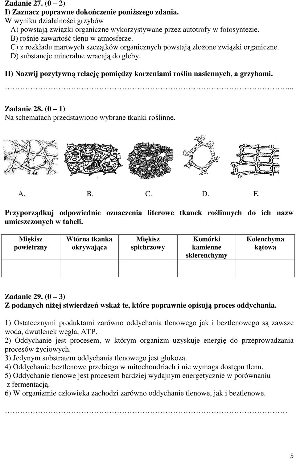 II) Nazwij pozytywną relację pomiędzy korzeniami roślin nasiennych, a grzybami.... Zadanie 28. (0 1) Na schematach przedstawiono wybrane tkanki roślinne. A. B. C. D. E.