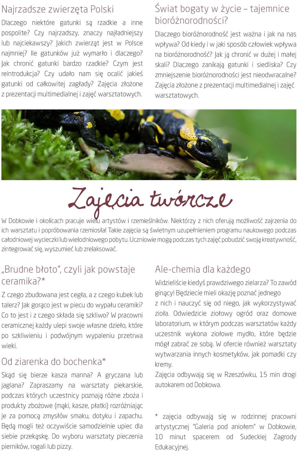 Zajęcia złożone z prezentacji multimedialnej i zajęć warsztatowych. Świat bogaty w życie tajemnice bioróżnorodności? Dlaczego bioróżnorodność jest ważna i jak na nas wpływa?