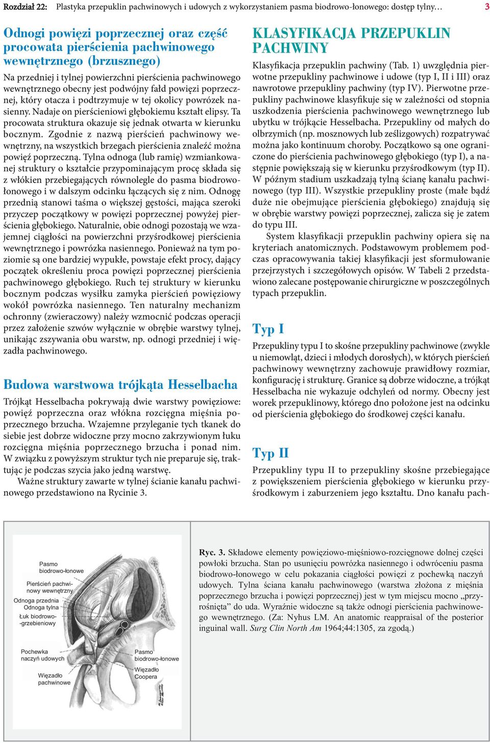 Nadaje on pierścieniowi głębokiemu kształt elipsy. Ta procowata struktura okazuje się jednak otwarta w kierunku bocznym.