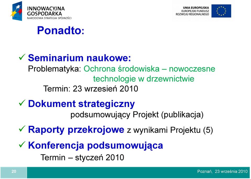 Dokument strategiczny podsumowujący Projekt (publikacja) Raporty