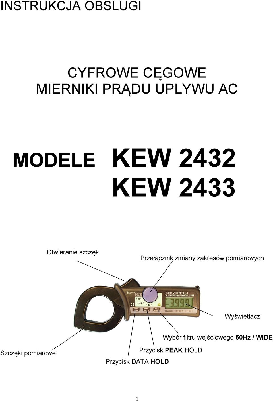 zakresów pomiarowych Wyświetlacz Wybór filtru wejściowego