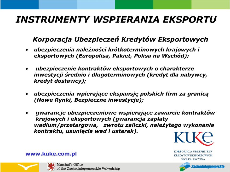kredyt dostawcy); ubezpieczenia wpierające ekspansję polskich firm za granicą (Nowe Rynki, Bezpieczne inwestycje); gwarancje ubezpieczeniowe wspierające