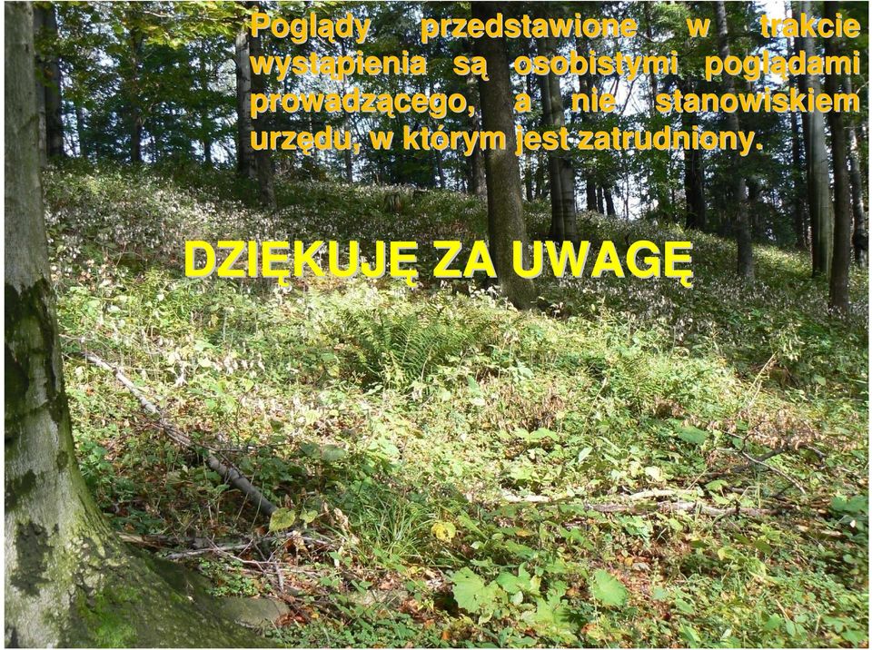 prowadzącego, a nie stanowiskiem