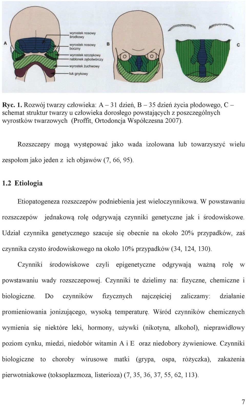 2007). Rozszczepy mogą występować jako wada izolowana lub towarzyszyć wielu zespołom jako jeden z ich objawów (7, 66, 95). 1.2 Etiologia Etiopatogeneza rozszczepów podniebienia jest wieloczynnikowa.