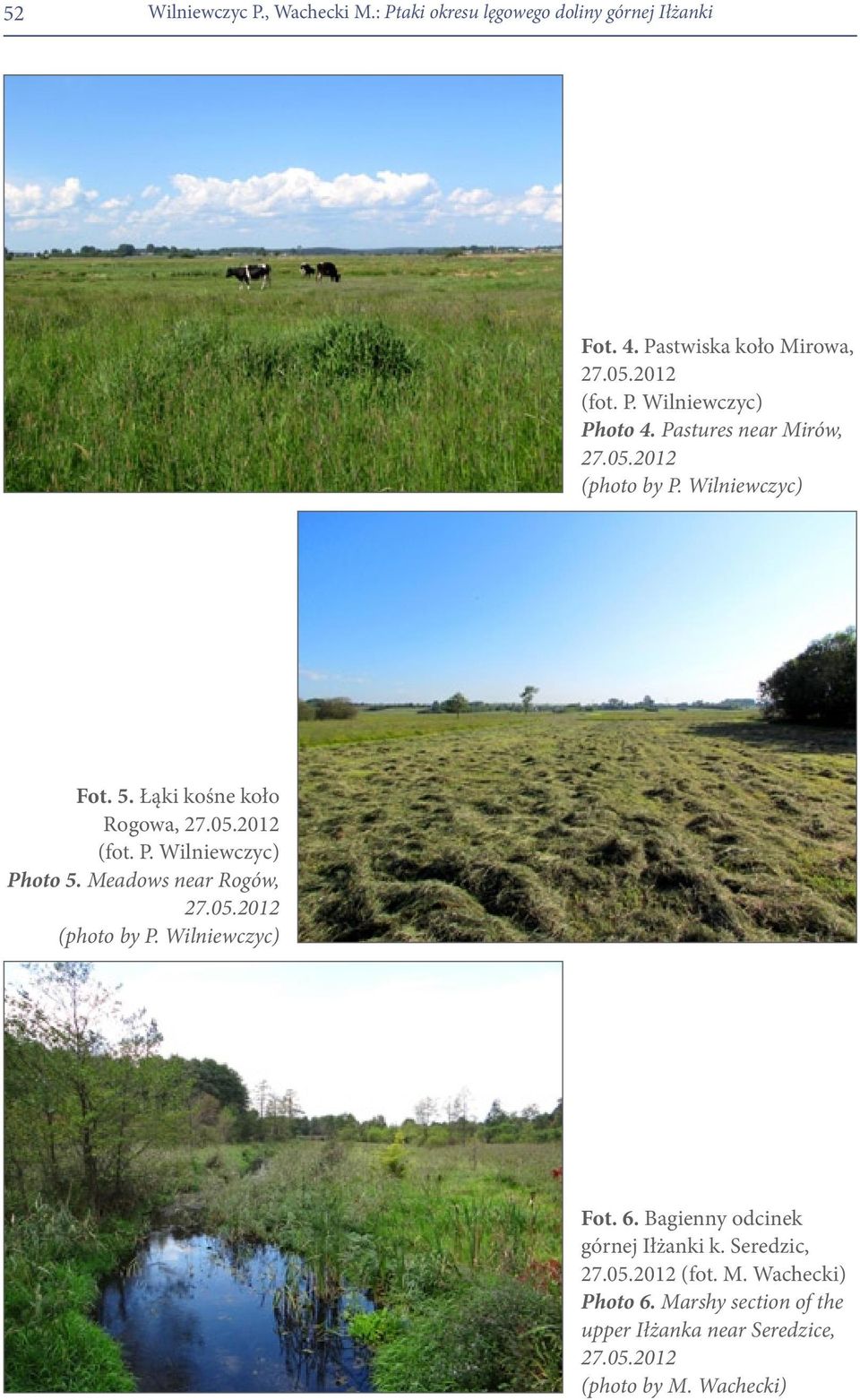 Meadows near Rogów, 27.05.2012 (photo by P. Wilniewczyc) Fot. 6. Bagienny odcinek górnej Iłżanki k. Seredzic, 27.05.2012 (fot. M.