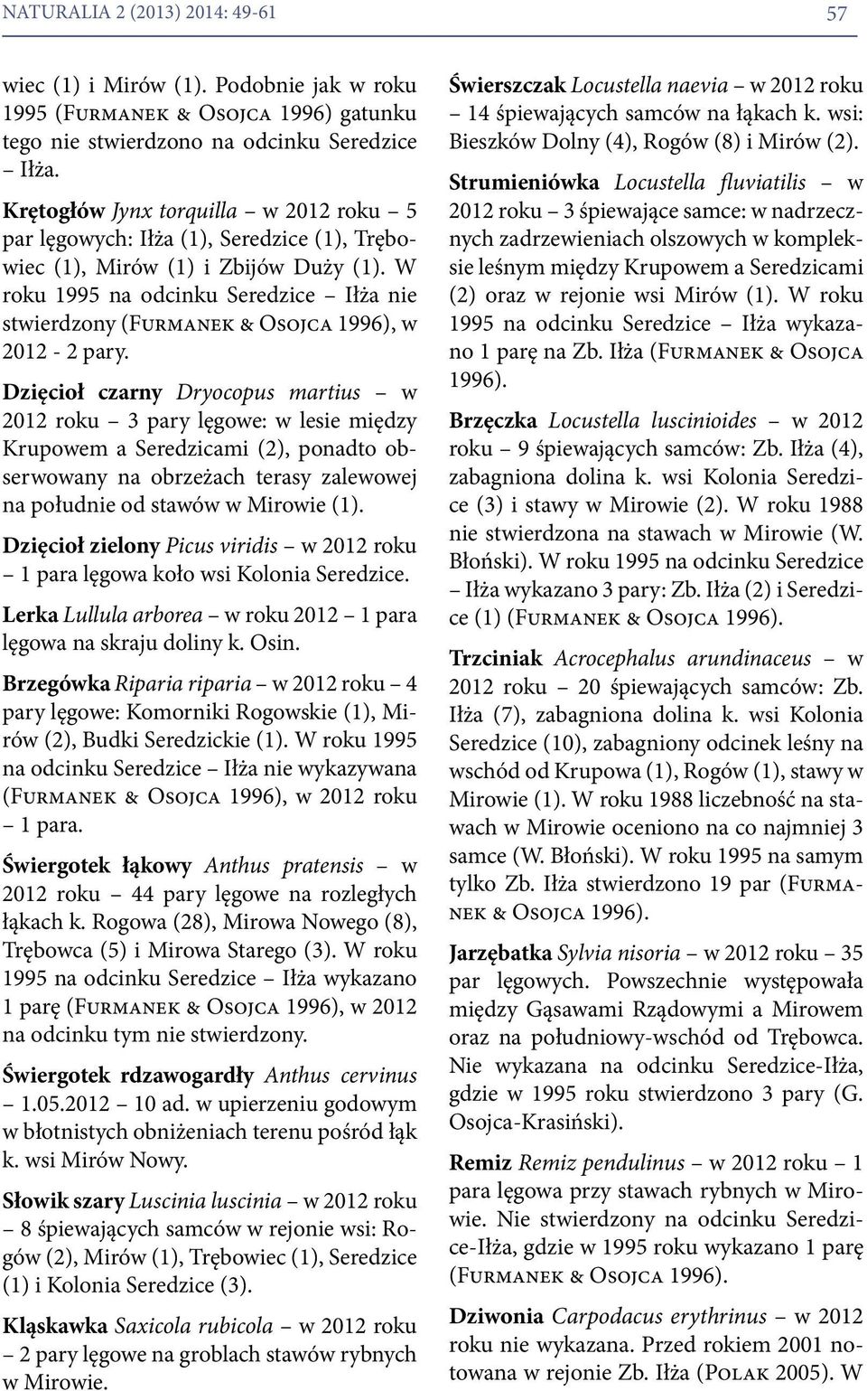 W roku 1995 na odcinku Seredzice Iłża nie stwierdzony (Furmanek & Osojca 1996), w 2012-2 pary.