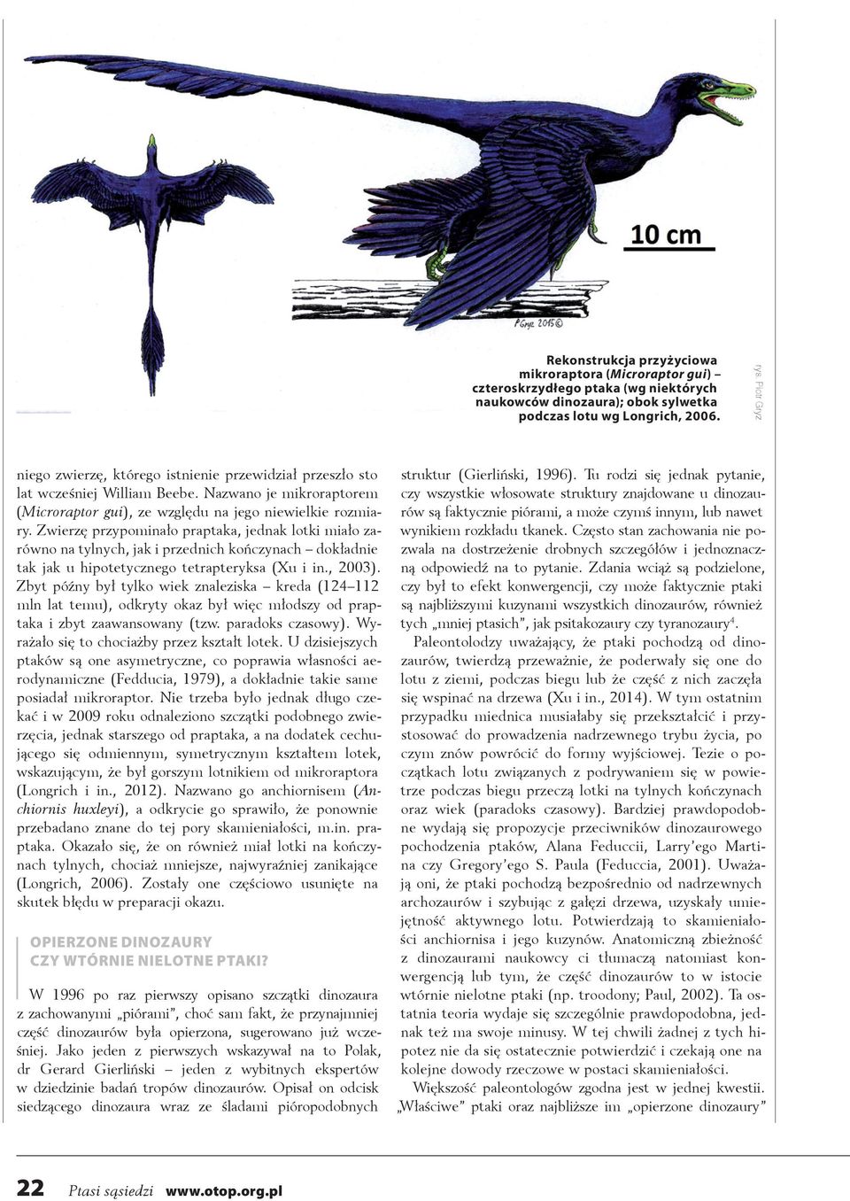Zwierzę przypominało praptaka, jednak lotki miało zarówno na tylnych, jak i przednich kończynach dokładnie tak jak u hipotetycznego tetrapteryksa (Xu i in., 2003).