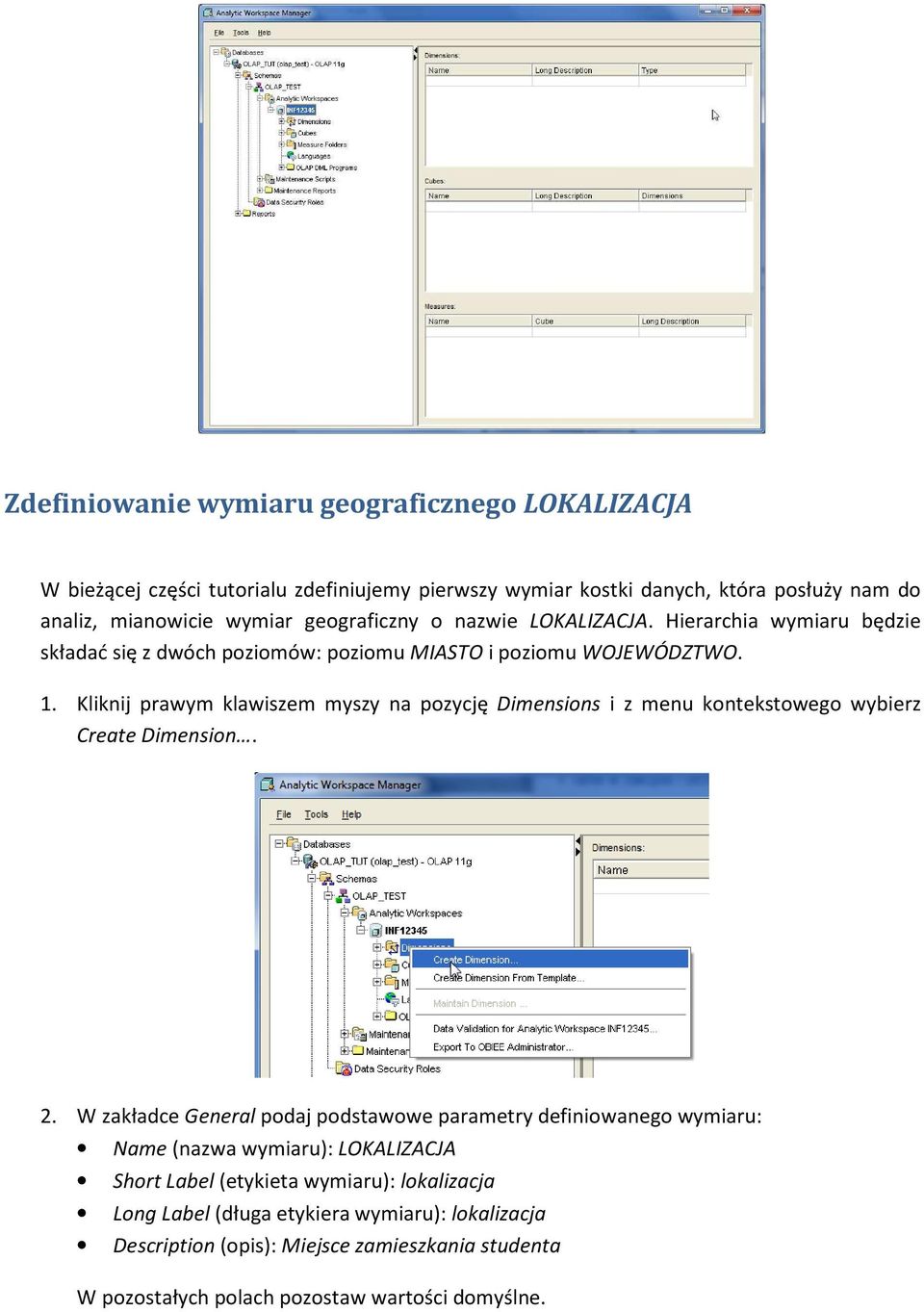Kliknij prawym klawiszem myszy na pozycję Dimensions i z menu kontekstowego wybierz Create Dimension. 2.
