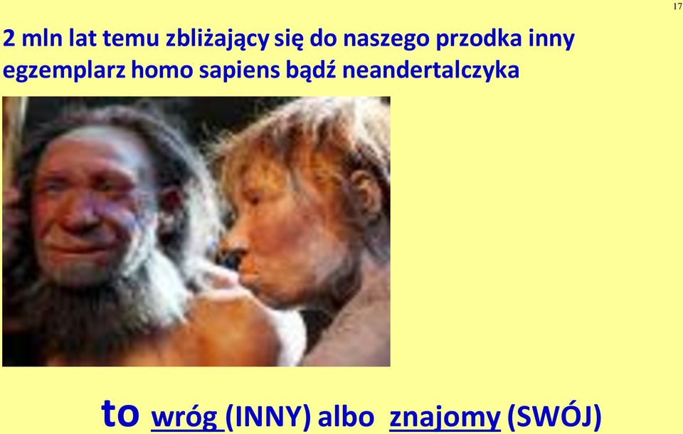 homo sapiens bądź neandertalczyka