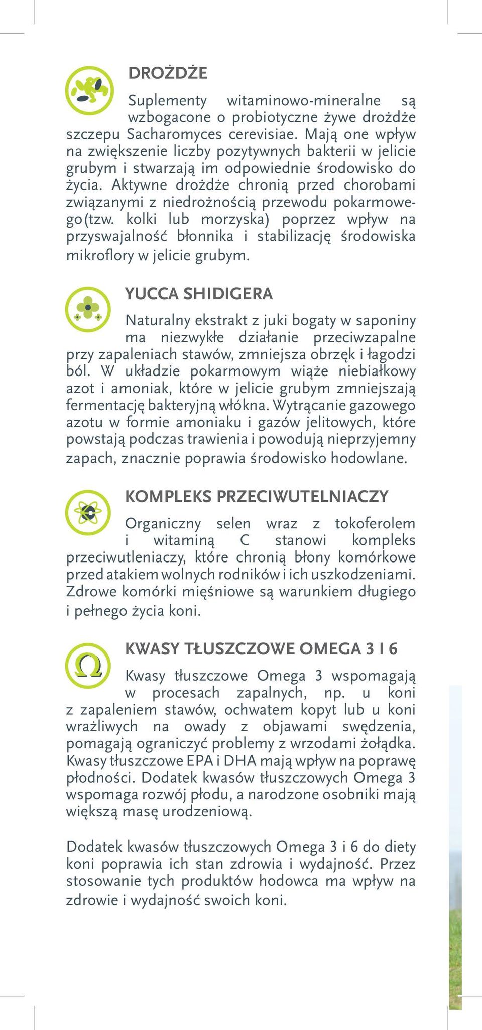 Aktywne drożdże chronią przed chorobami związanymi z niedrożnością przewodu pokarmowego(tzw.