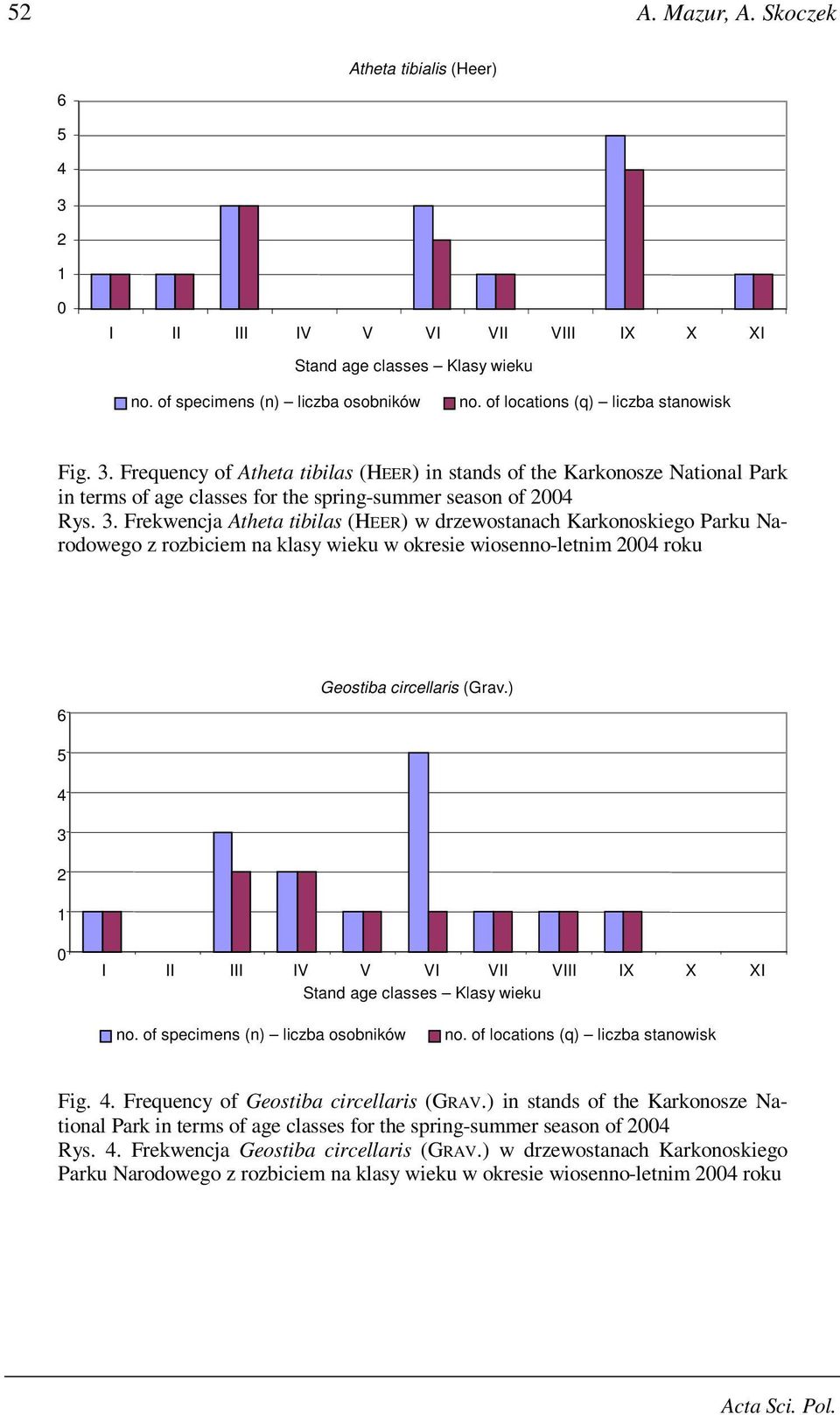 Frequency of Atheta tibilas (HEER) in stands of the Karkonosze National Park in terms of age classes for the spring-summer season of 2004 Rys. 3.