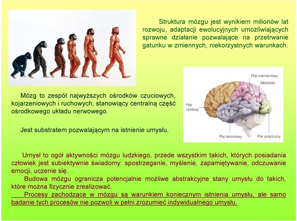 Umysł to ogół aktywności mózgu ludzkiego, przede wszystkim takich, których posiadania człowiek jest subiektywnie świadomy: spostrzeganie, myślenie, zapamiętywanie, odczuwanie emocji, uczenie się.