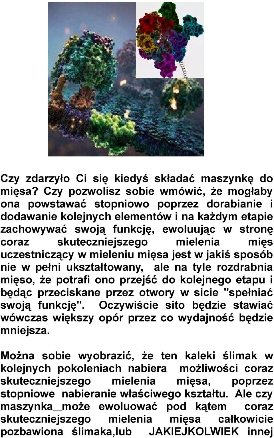 skuteczniejszego mielenia mięs uczestniczący w mieleniu mięsa jest w jakiś sposób nie w pełni ukształtowany, ale na tyle rozdrabnia mięso, że potrafi ono przejść do kolejnego etapu i będąc