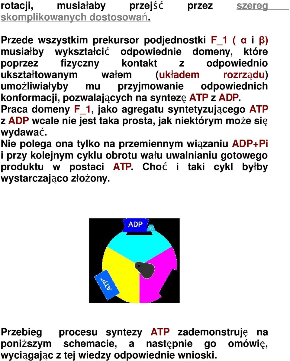 umożliwiałyby mu przyjmowanie odpowiednich konformacji, pozwalających na syntezę ATP z ADP.