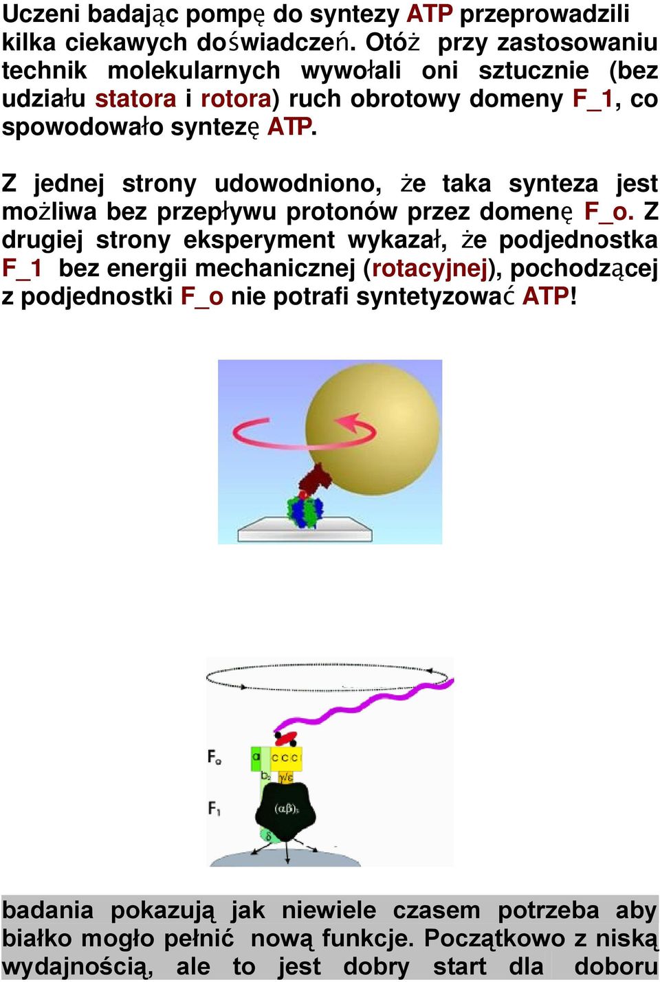 Z jednej strony udowodniono, że taka synteza jest możliwa bez przepływu protonów przez domenę F_o.