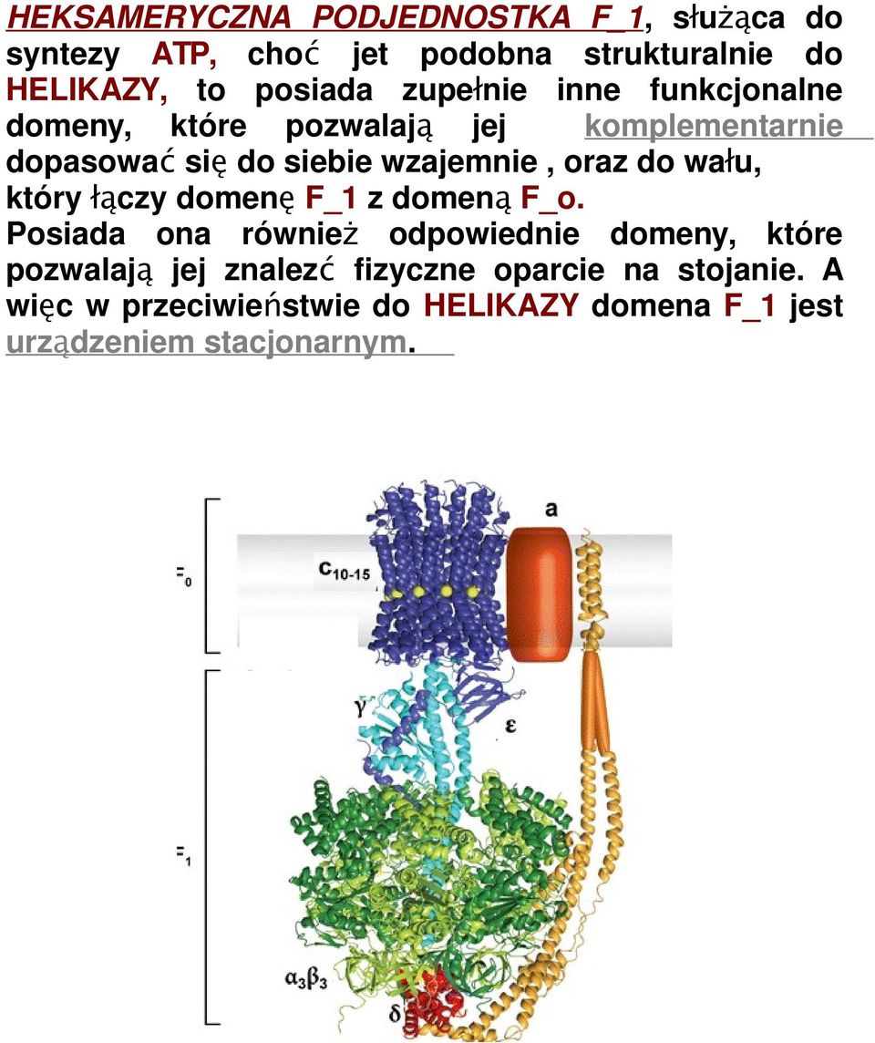 do wału, który łączy domenę F_1 z domeną F_o.