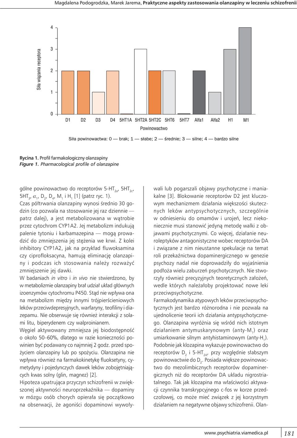 Czas półtrwania olanzapiny wynosi średnio 30 godzin (co pozwala na stosowanie jej raz dziennie patrz dalej), a jest metabolizowana w wątrobie przez cytochrom CYP1A2.