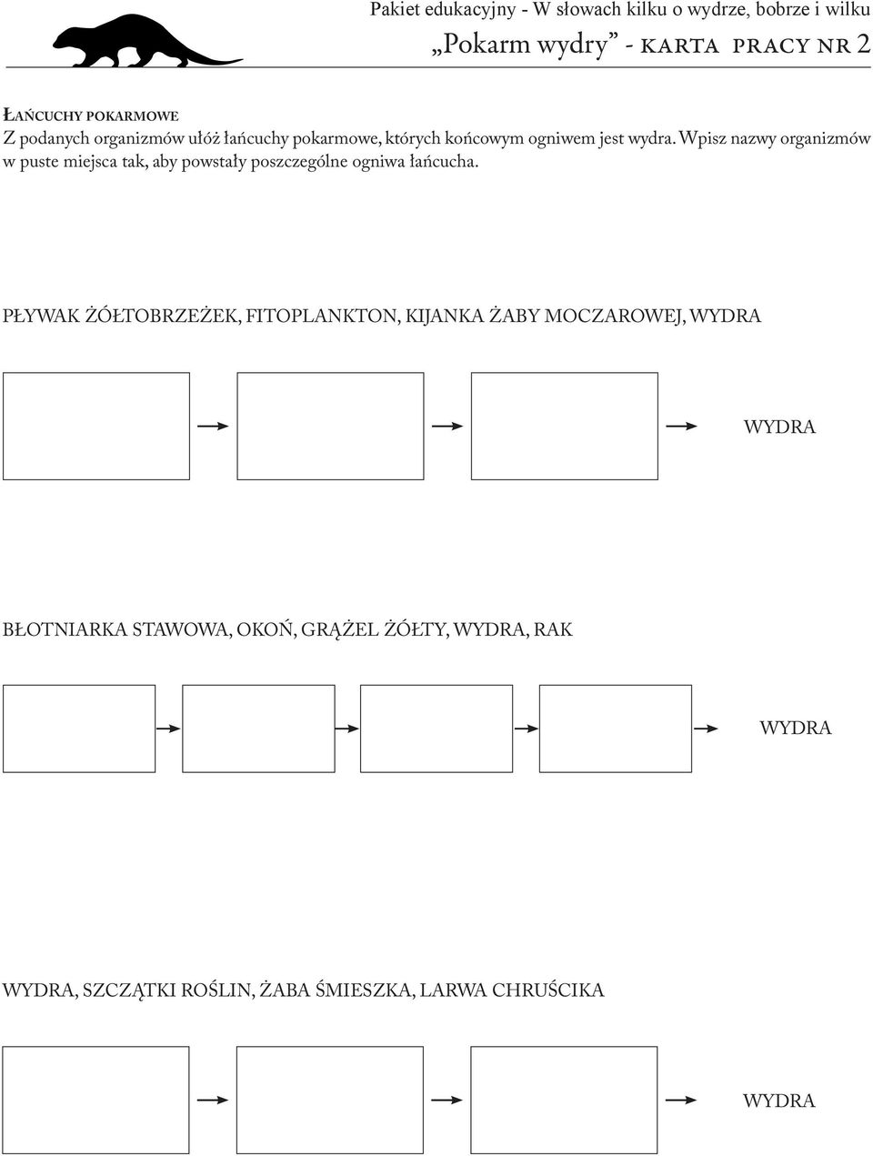 Wpisz nazwy organizmów w puste miejsca tak, aby powstały poszczególne ogniwa łańcucha.