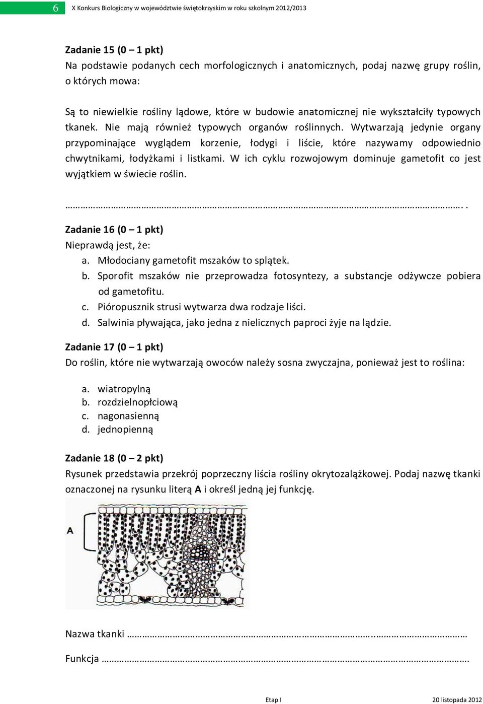 Wytwarzają jedynie organy przypominające wyglądem korzenie, łodygi i liście, które nazywamy odpowiednio chwytnikami, łodyżkami i listkami.