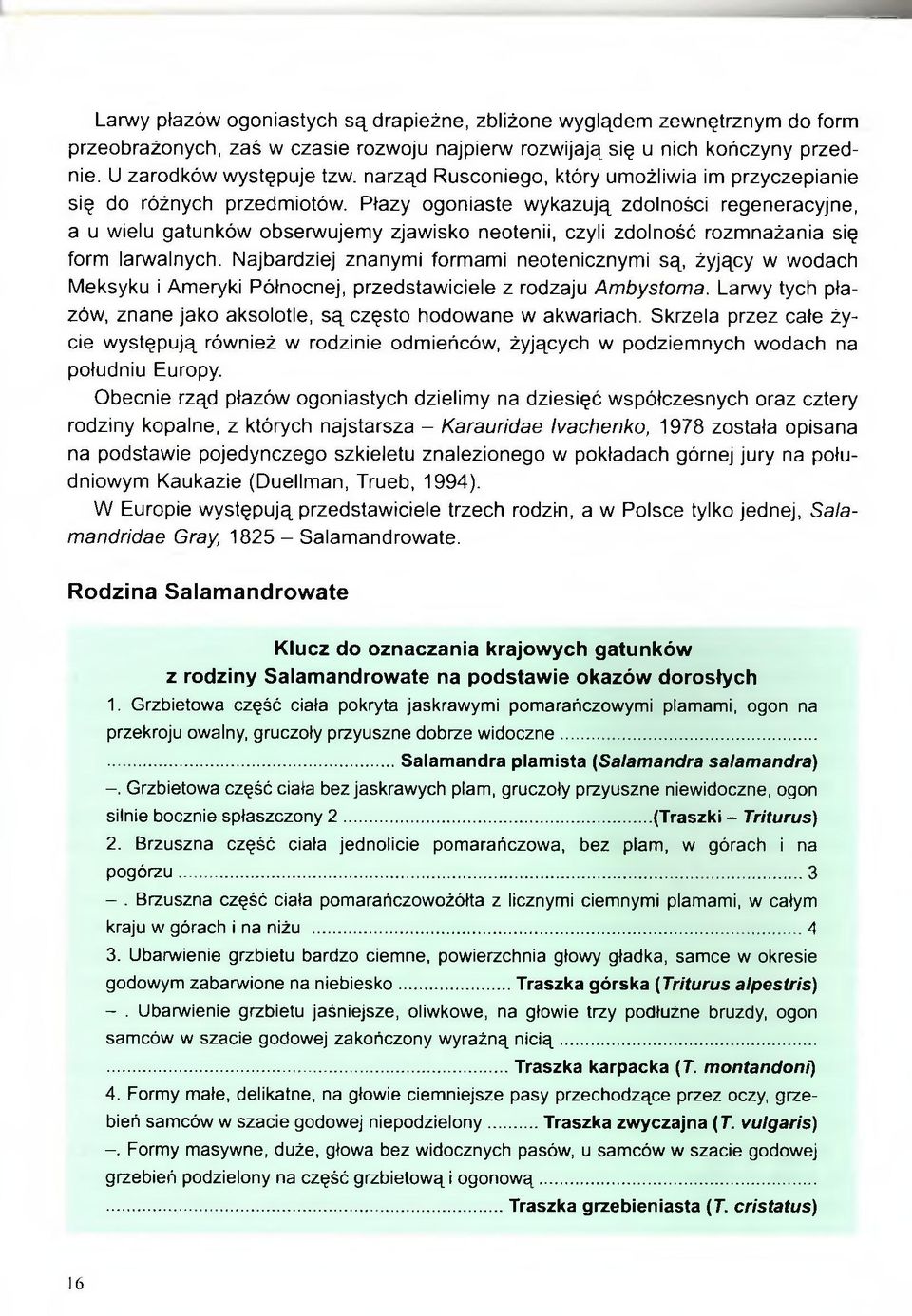 Płazy ogoniaste wykazują zdolności regeneracyjne, a u wielu gatunków obserwujemy zjawisko neotenii, czyli zdolność rozmnażania się form larwalnych.