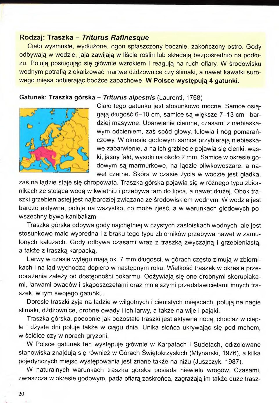 W Polsce występują 4 gatunki. Gatunek: Traszka górska - Triturus alpestris (Laurenti, 1768) Ciało tego gatunku jest stosunkowo mocne.