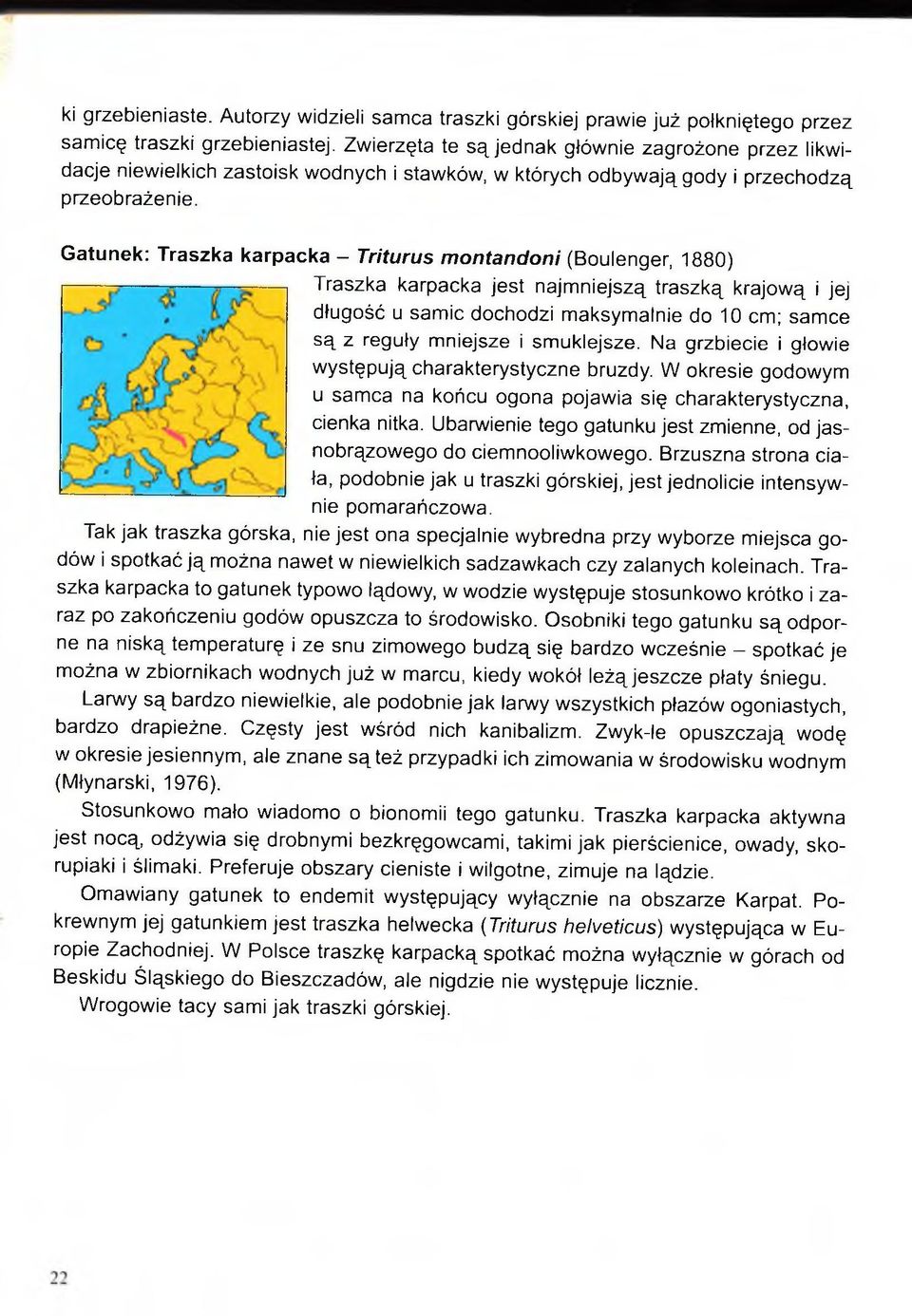 Gatunek: Traszka karpacka - Triturus montandoni (Boulenger, 1880) Traszka karpacka jest najmniejszą traszką krajową i jej długość u samic dochodzi maksymalnie do 10 cm; samce są z reguły mniejsze i
