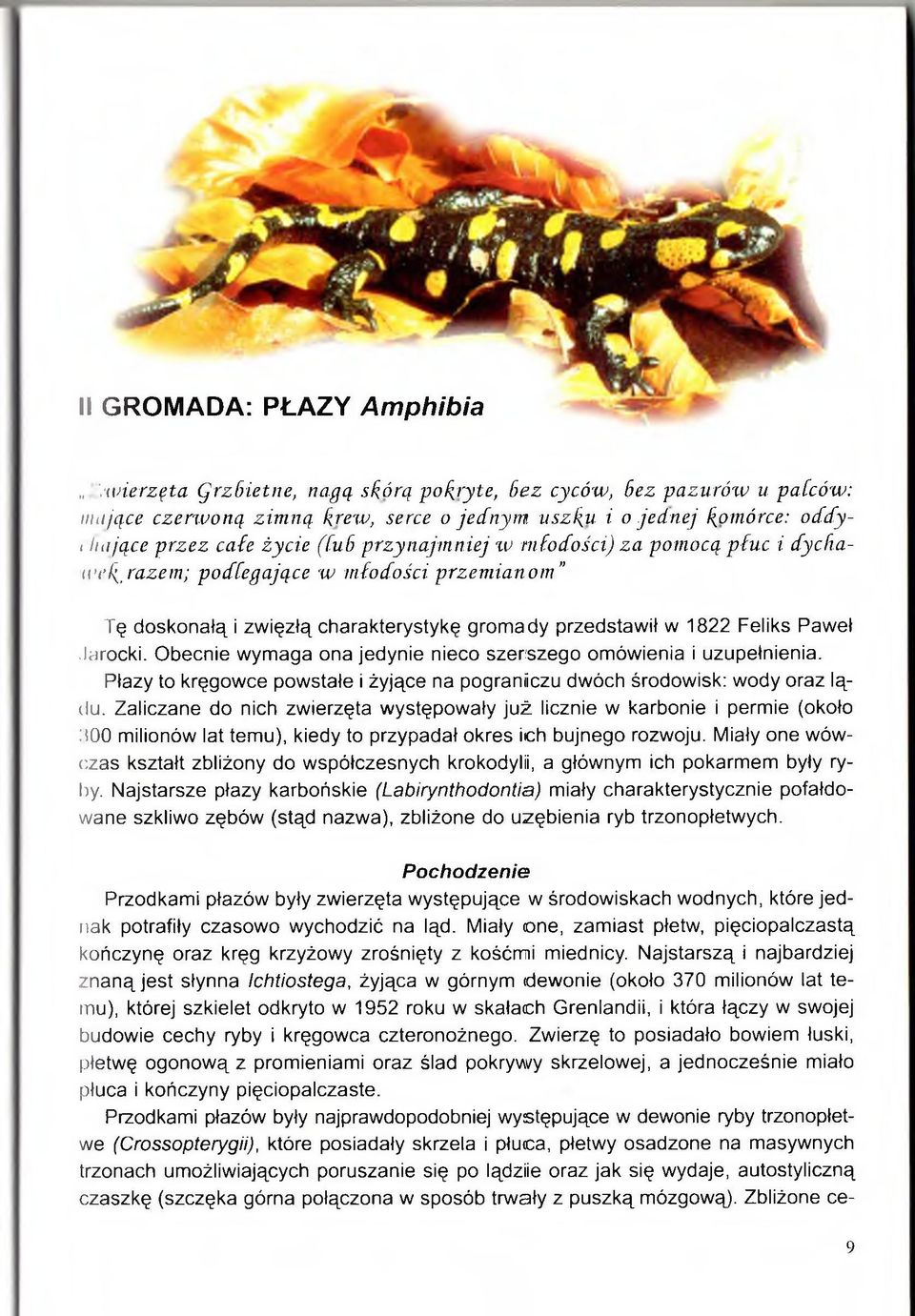 Obecnie wymaga ona jedynie nieco szerszego omówienia i uzupełnienia. Płazy to kręgowce powstałe i żyjące na pograniczu dwóch środowisk: wody oraz lądu.