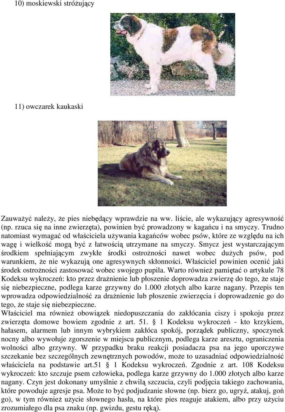 Trudno natomiast wymagać od właściciela używania kagańców wobec psów, które ze względu na ich wagę i wielkość mogą być z łatwością utrzymane na smyczy.