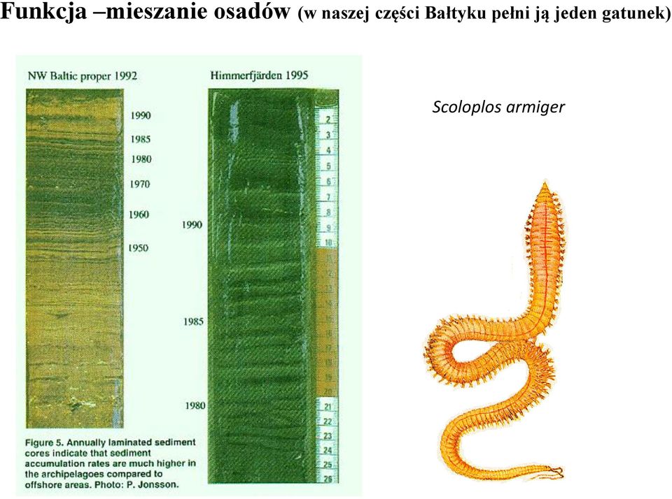 części Bałtyku pełni