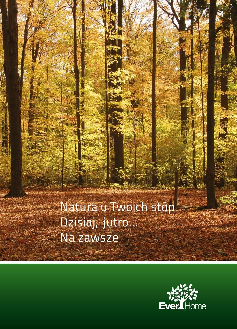 Dzisiaj,