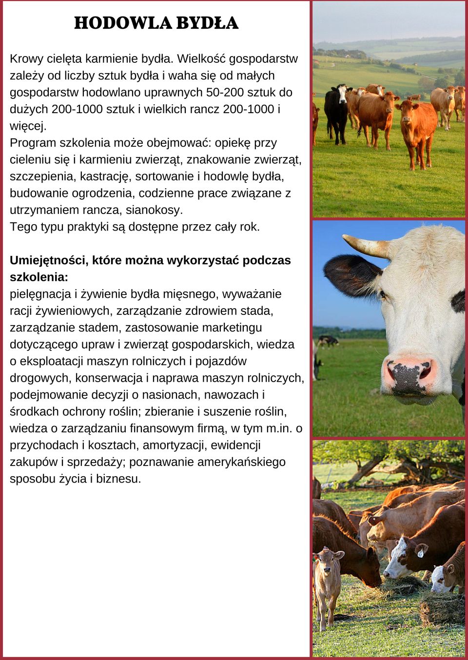 Program szkolenia może obejmować: opiekę przy cieleniu się i karmieniu zwierząt, znakowanie zwierząt, szczepienia, kastrację, sortowanie i hodowlę bydła, budowanie ogrodzenia, codzienne prace
