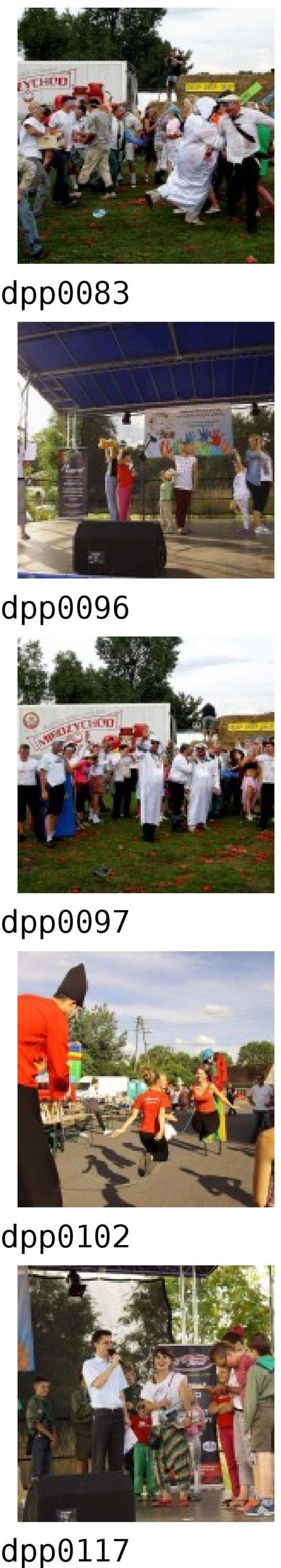 dpp0097