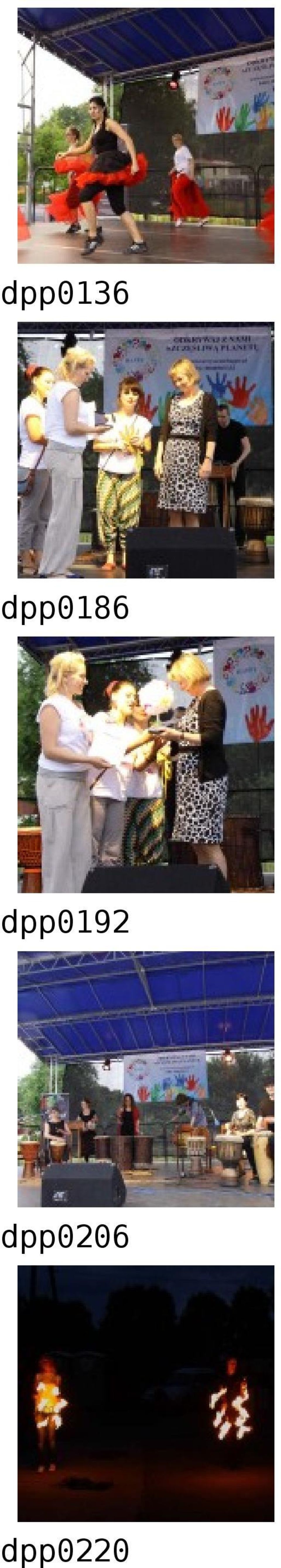 dpp0192