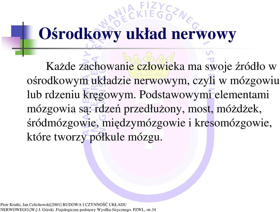 Podstawowymi elementami mózgowia są: rdzeń przedłuŝony, most, móŝdŝek, śródmózgowie,