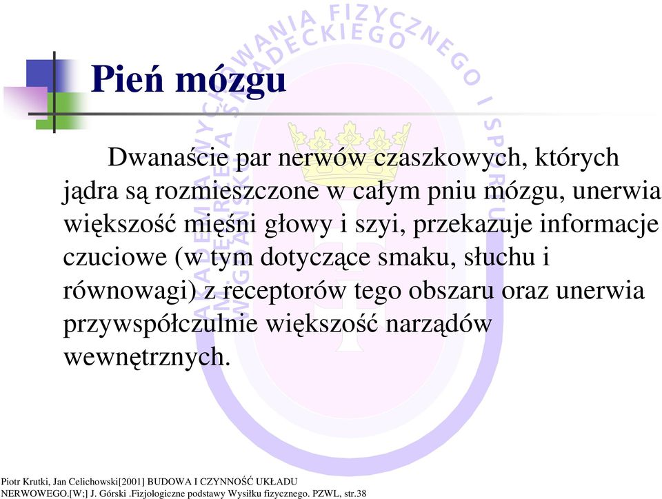 smaku, słuchu i równowagi) z receptorów tego obszaru oraz unerwia przywspółczulnie większość