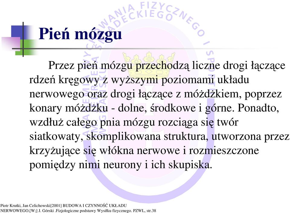 Ponadto, wzdłuŝ całego pnia mózgu rozciąga się twór siatkowaty, skomplikowana struktura, utworzona przez krzyŝujące