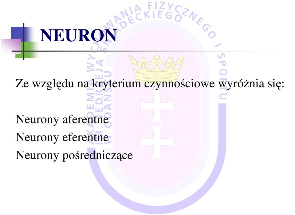 wyróŝnia się: Neurony