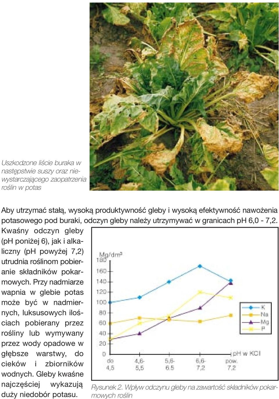 Kwaśny odczyn gleby (ph poniżej 6), jak i alkaliczny (ph powyżej 7,2) utrudnia roślinom pobieranie składników pokarmowych.