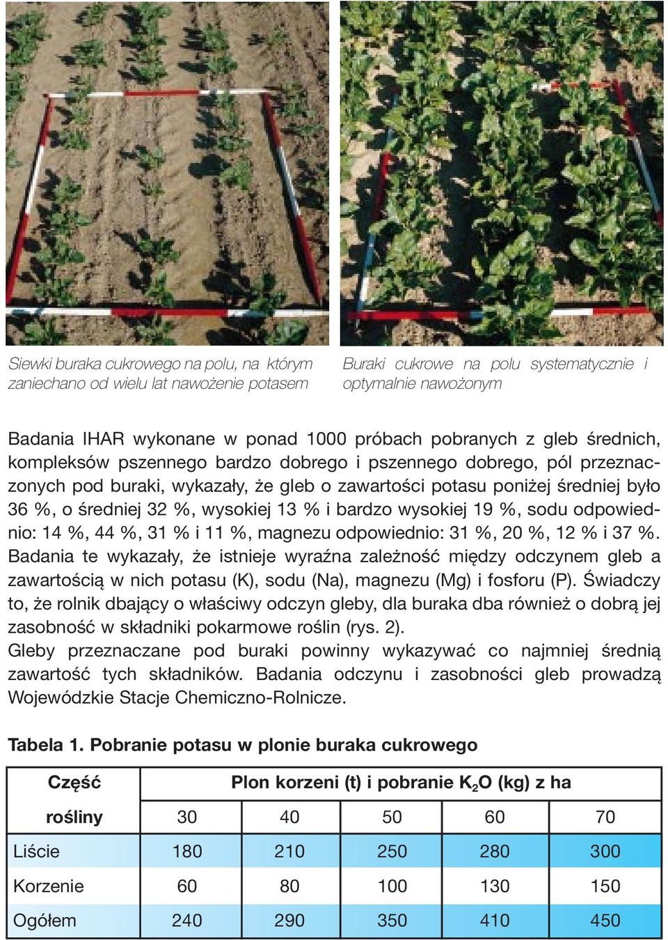 % i bardzo wysokiej 19 %, sodu odpowiednio: 14 %, 44 %, 31 % i 11 %, magnezu odpowiednio: 31 %, 20 %, 12 % i 37 %.