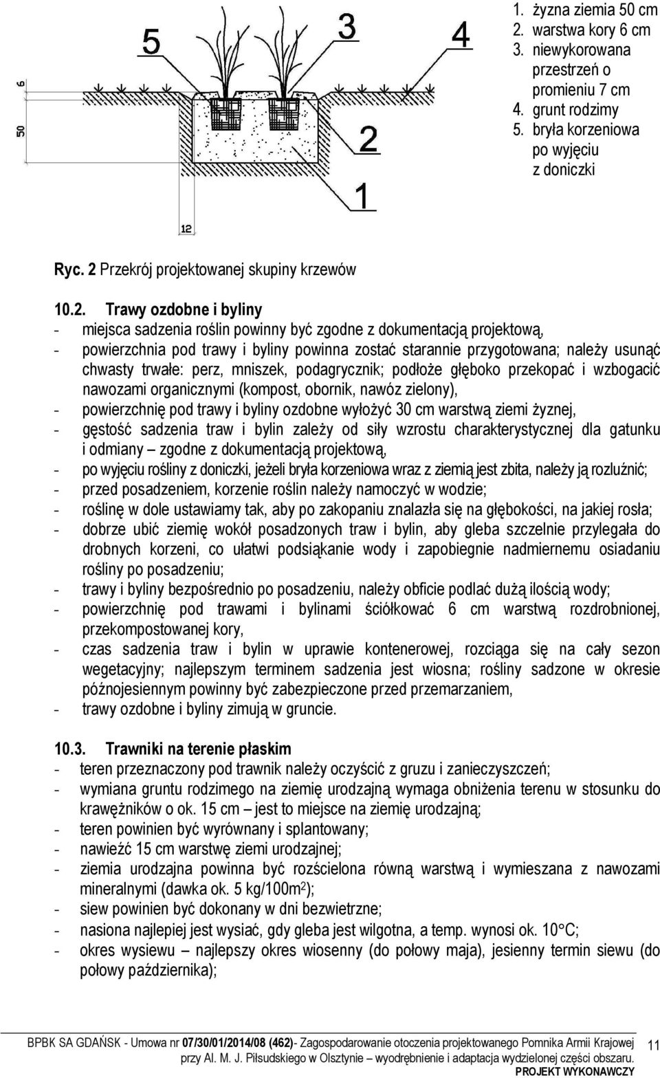 Przekrój projektowanej skupiny krzewów 10.2.