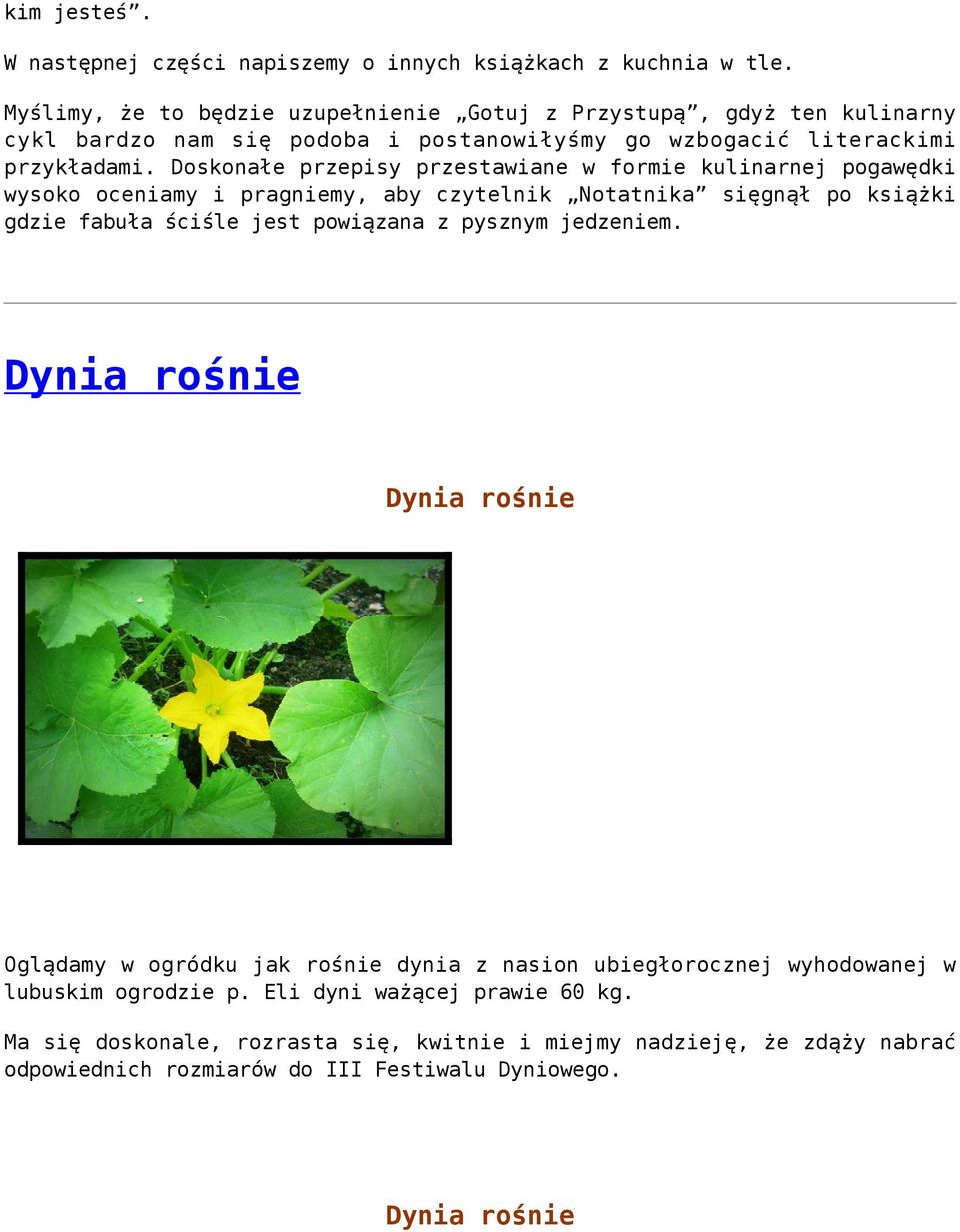 Doskonałe przepisy przestawiane w formie kulinarnej pogawędki wysoko oceniamy i pragniemy, aby czytelnik Notatnika sięgnął po książki gdzie fabuła ściśle jest powiązana z
